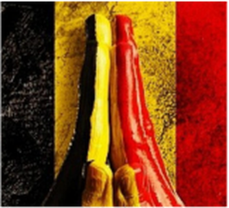 Belgium: not a failed state, but a troubled one